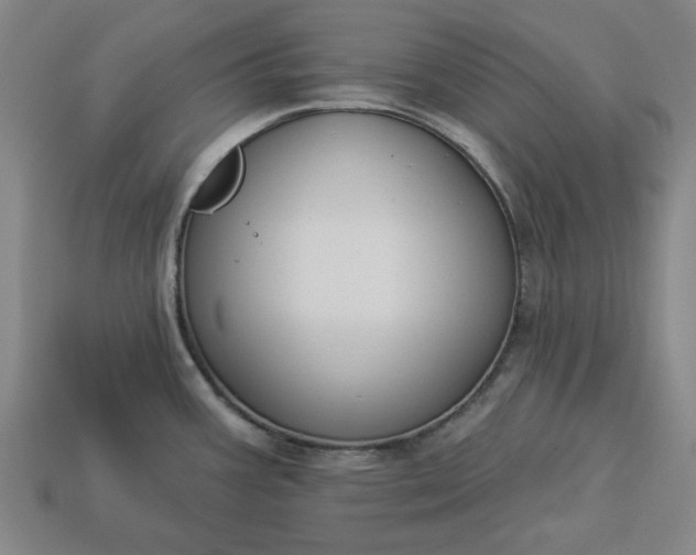 X0000113361387200909291021