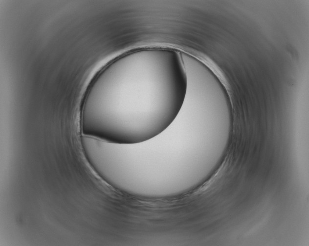 X0000113361388200909291021