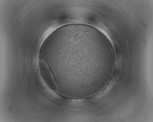 X0000113361389200909291021