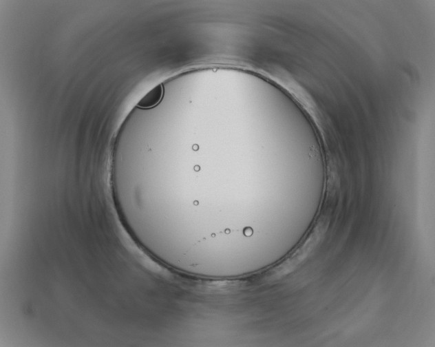 X0000113361390200909291021