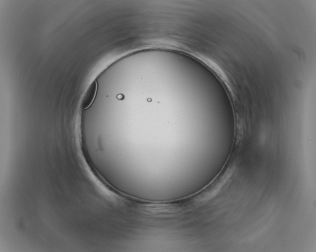 X0000113361391200909291021