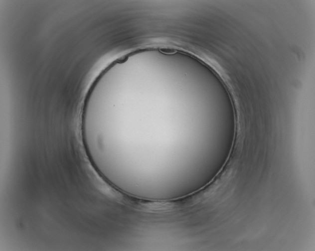 X0000113361392200909291021