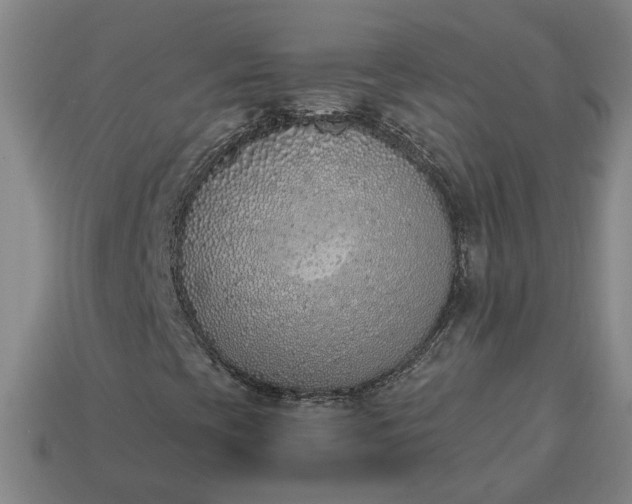 X0000113361393200909291020