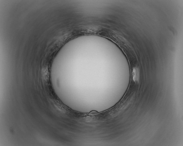 X0000113361395200909291020