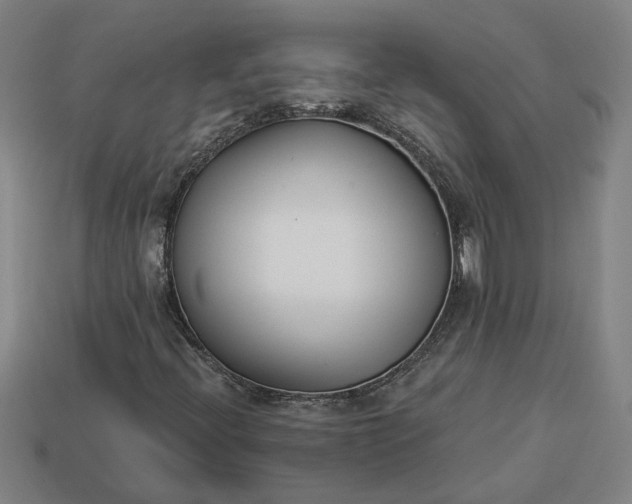 X0000113361396200909291020