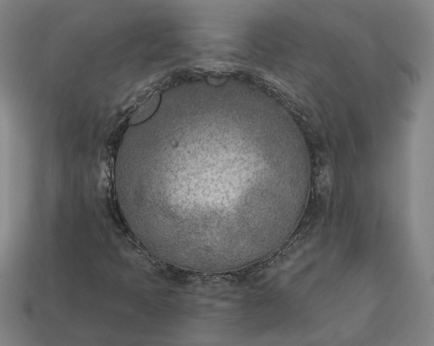 X0000113361397200909291020