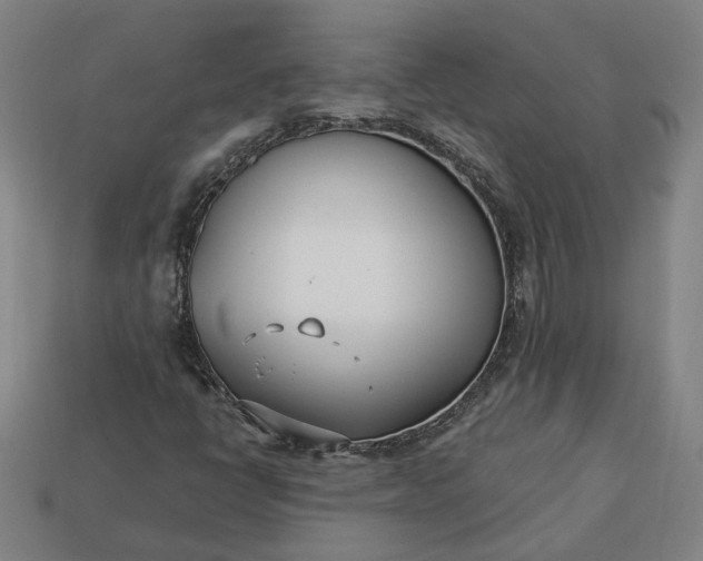 X0000113361398200909291020