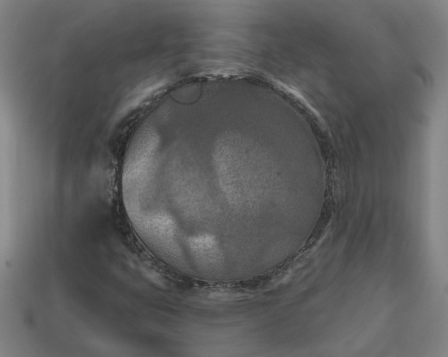 X0000113361399200909291020