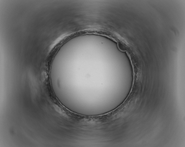 X0000113361400200909291020