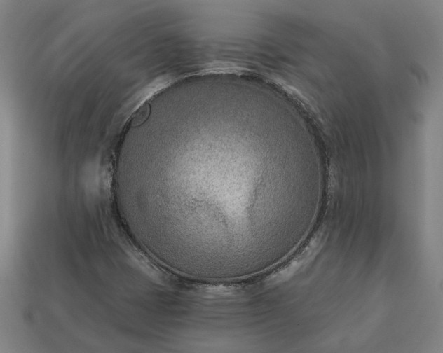 X0000113361401200909291020