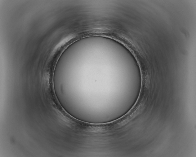 X0000113361402200909291020