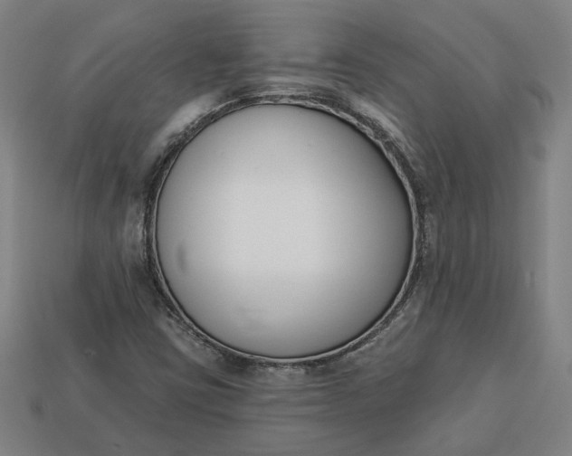 X0000113361403200909291020