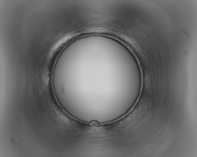 X0000113361406200909291020