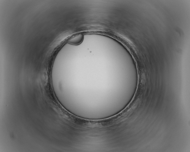 X0000113361407200909291020