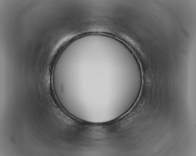 X0000113361408200909291020