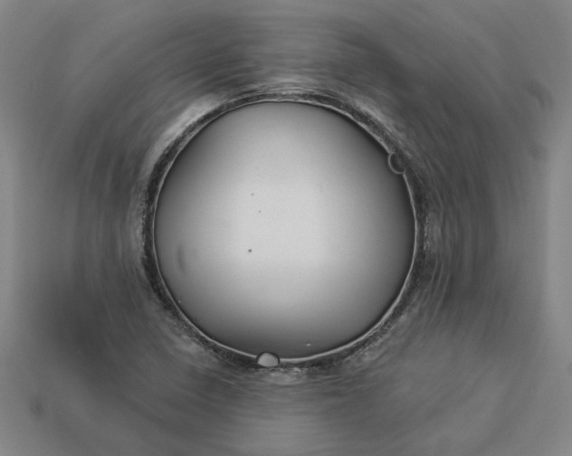 X0000113361410200909291020