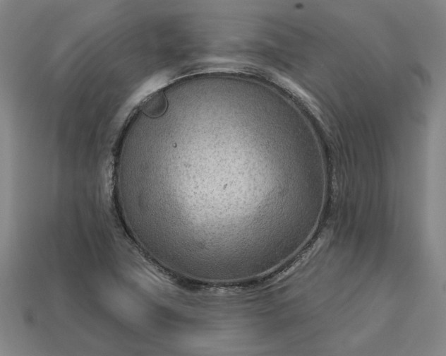 X0000113361411200909291020