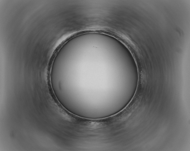 X0000113361412200909291020
