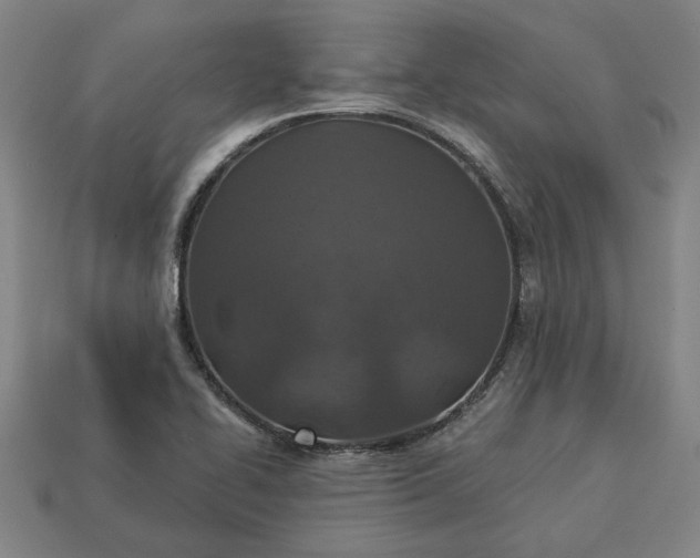 X0000113361414200909291020