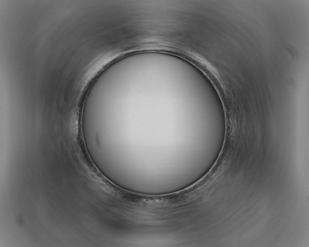 X0000113361415200909291020