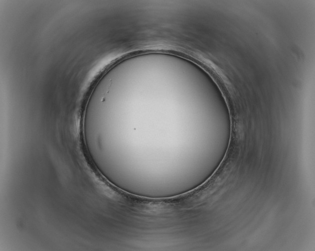 X0000113361416200909291020