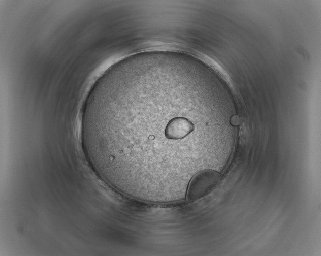 X0000113361419200909291020