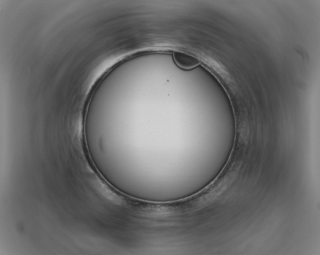 X0000113361420200909291021