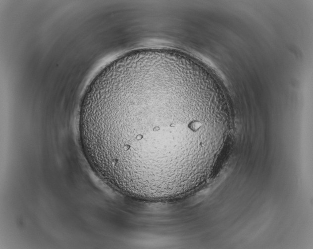 X0000113361421200909291021