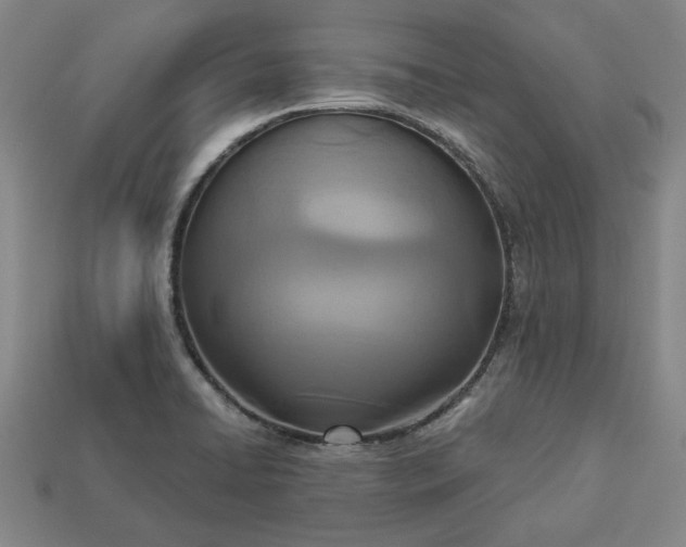 X0000113361422200909291021