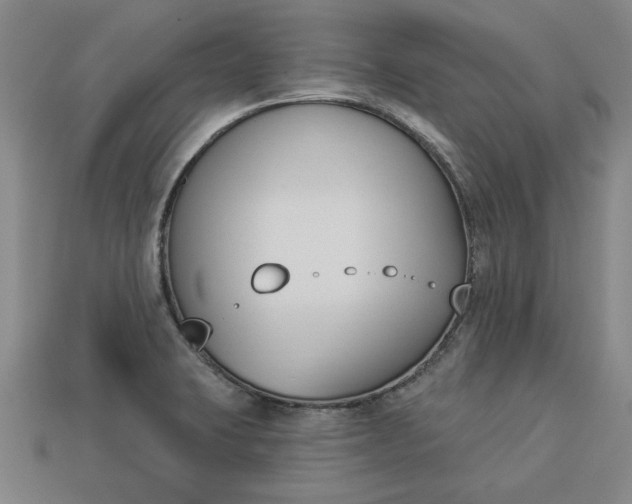 X0000113361423200909291021