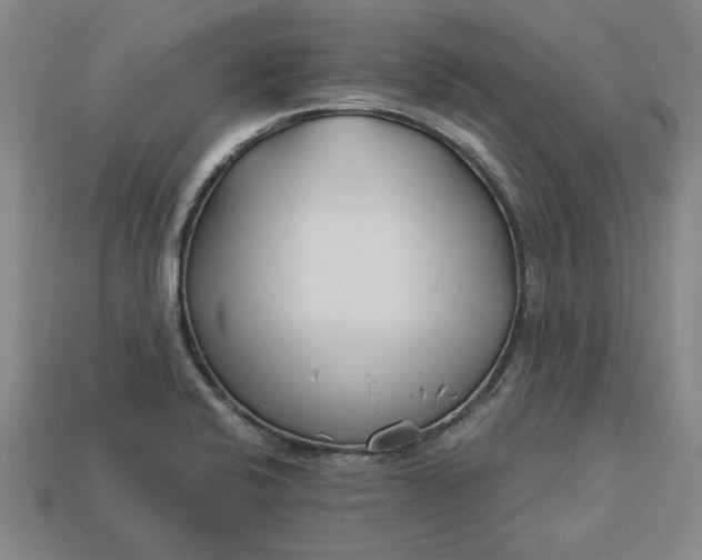 X0000113361424200909291021