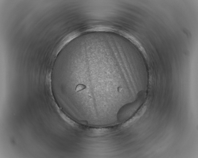 X0000113361425200909291021