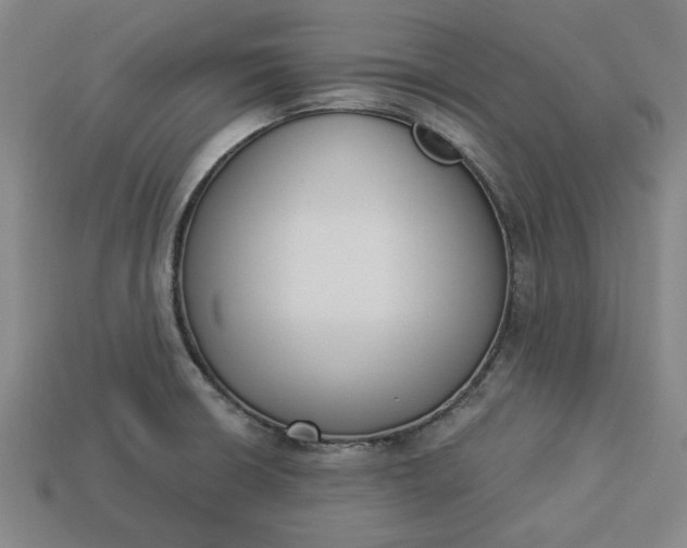 X0000113361426200909291021