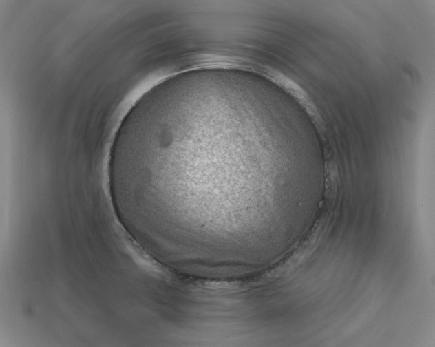 X0000113361427200909291021