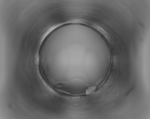 X0000113361428200909291021