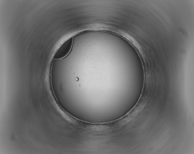 X0000113361429200909291021