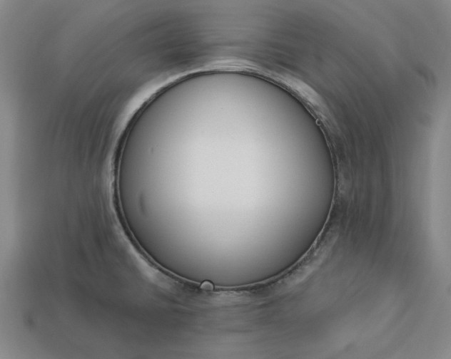 X0000113361430200909291021