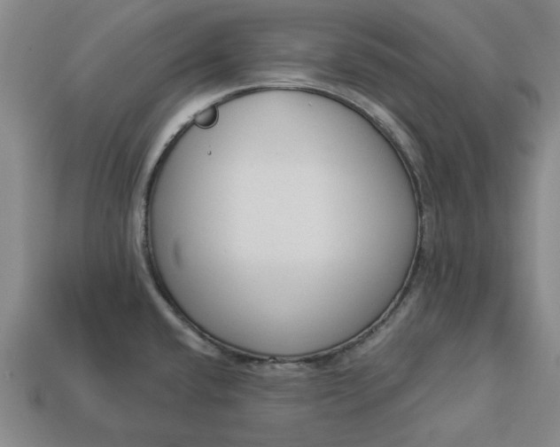 X0000113361432200909291021