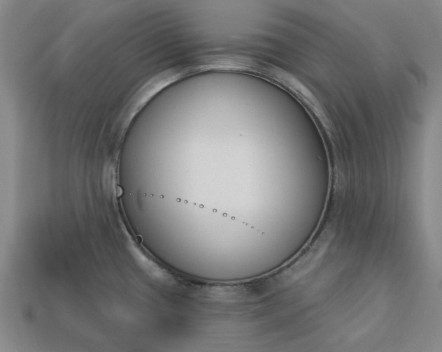 X0000113361433200909291021