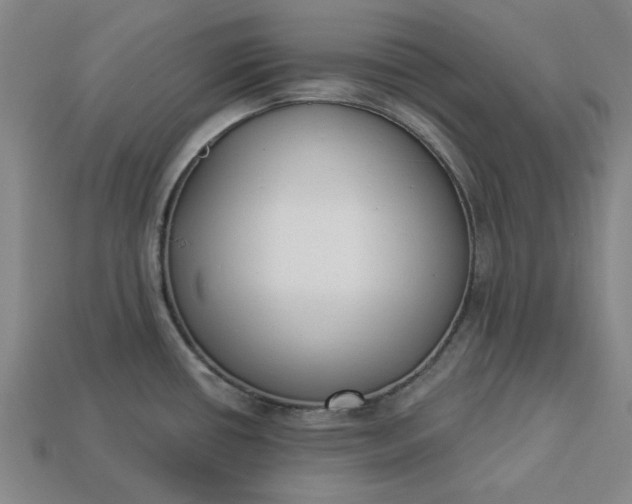 X0000113361434200909291021