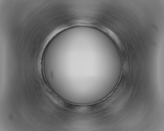 X0000113361435200909291021