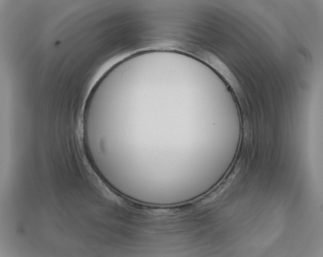 X0000113361436200909291021