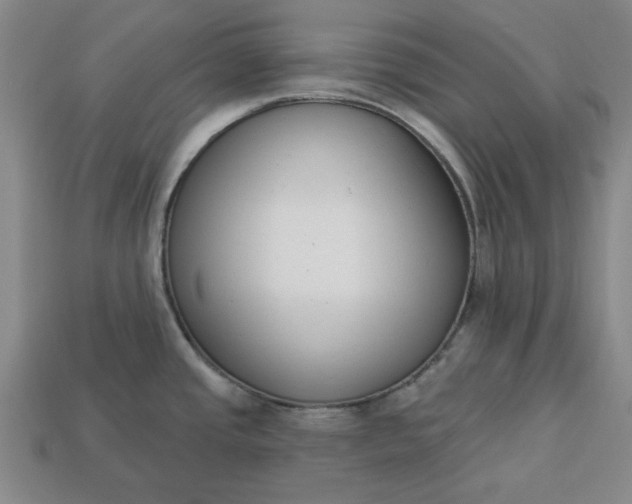 X0000113361437200909291021