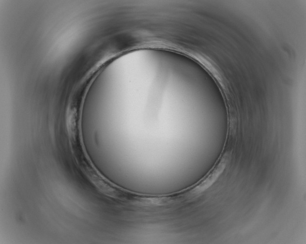 X0000113361438200909291021