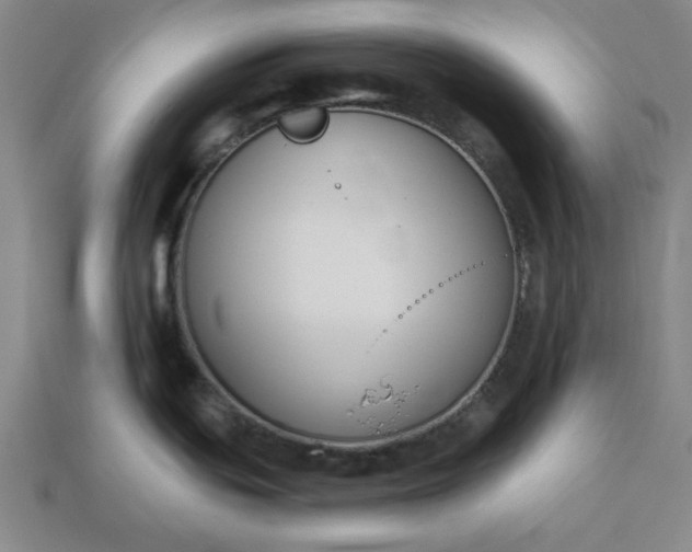 X0000113361439200909291021