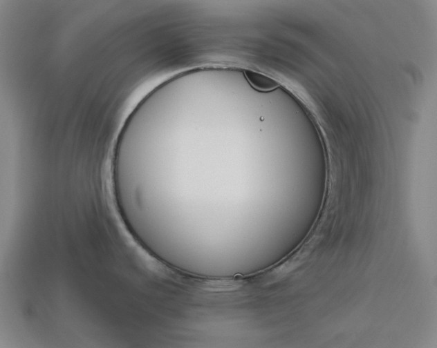 X0000113361440200909291021