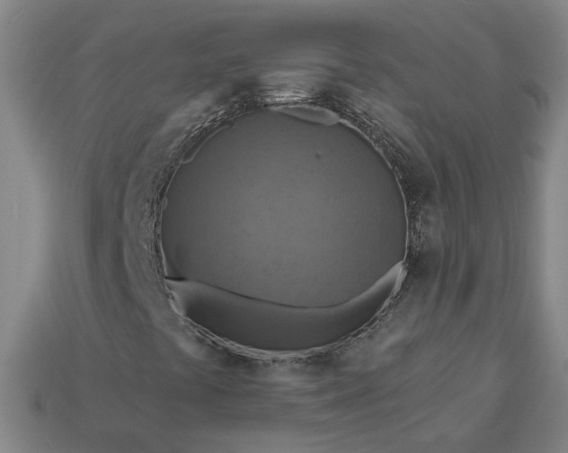 X0000113361441200909291020