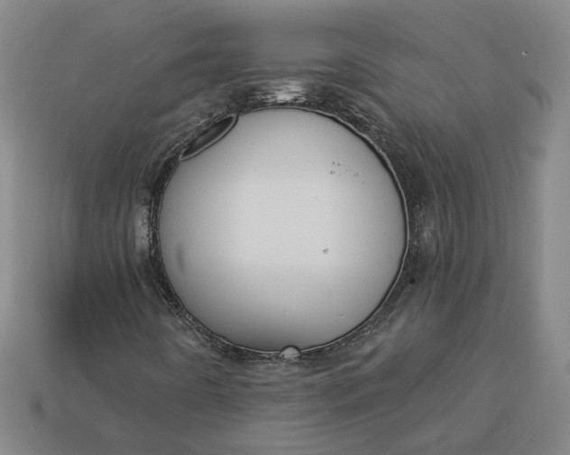 X0000113361442200909291020