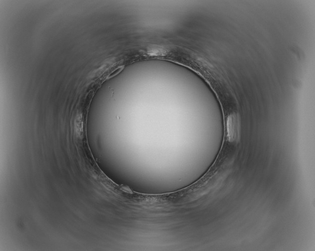 X0000113361443200909291020