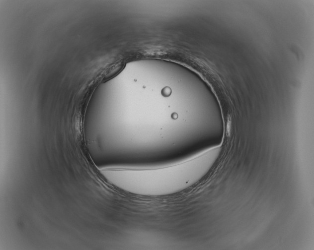 X0000113361444200909291020